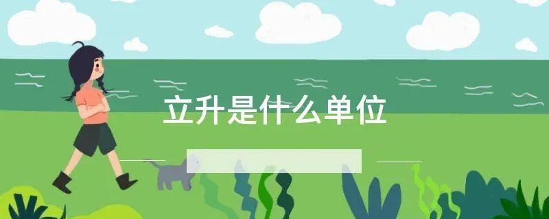 立升是什么单位