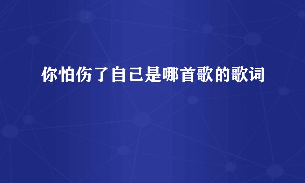 你怕伤了自己是哪首歌的歌词