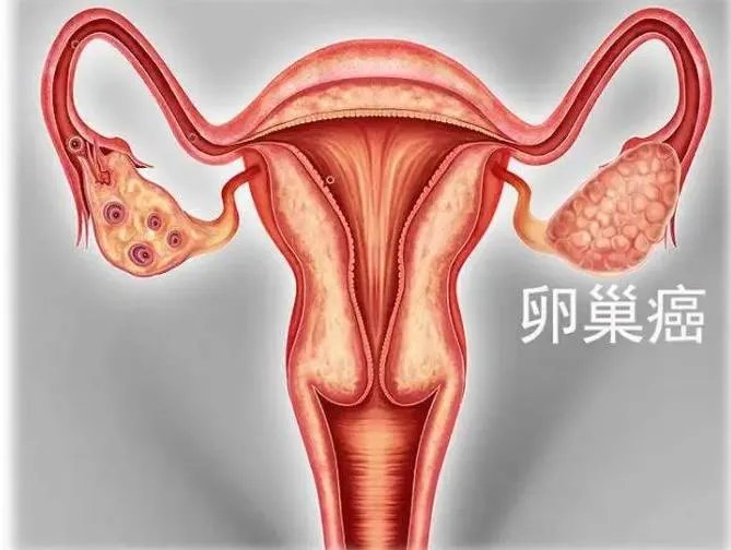 试管价格-spa蛇毒试管面膜多少钱? spa试管面膜价格