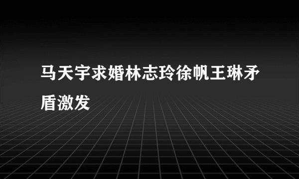 马天宇求婚林志玲徐帆王琳矛盾激发