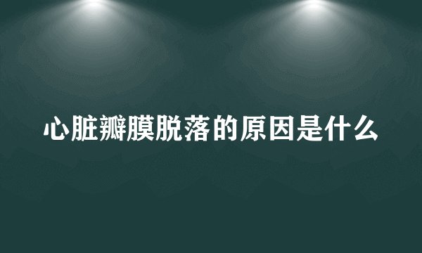 心脏瓣膜脱落的原因是什么
