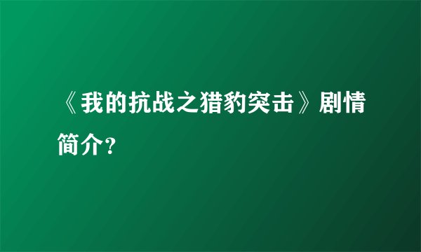 《我的抗战之猎豹突击》剧情简介？