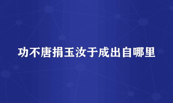 功不唐捐玉汝于成出自哪里