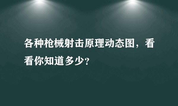 各种枪械射击原理动态图,看看你知道多少?