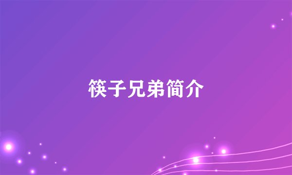 筷子兄弟简介