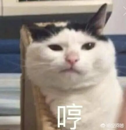 一般中秋都送什么礼物？