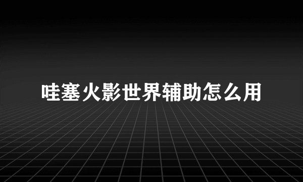 哇塞火影世界辅助怎么用