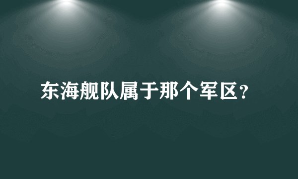东海舰队属于那个军区？