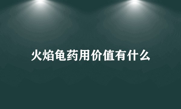 火焰龟药用价值有什么