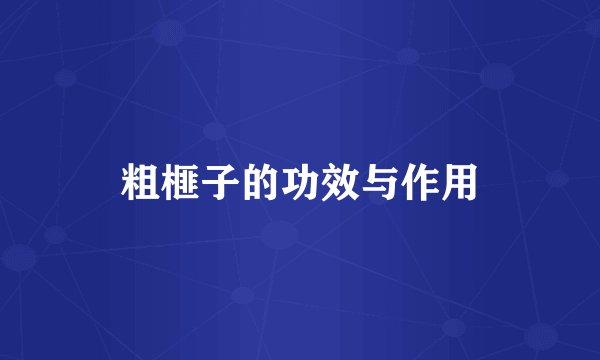 粗榧子的功效与作用