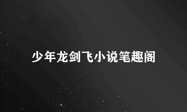 少年龙剑飞小说笔趣阁