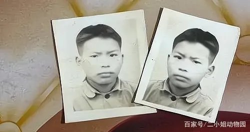 王永强事件最新进展