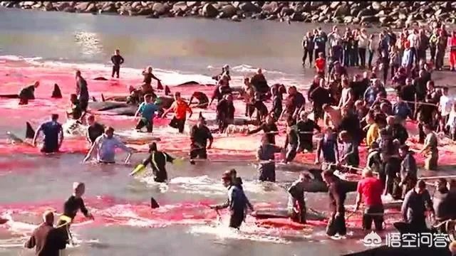 日本退出《全球禁止捕鲸公约》是出于政治目的还只是经济目的?