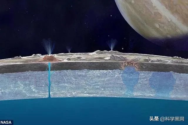 木卫二有海洋吗?有人说木卫二的海洋中存在类似海豚的生命,对吗?
