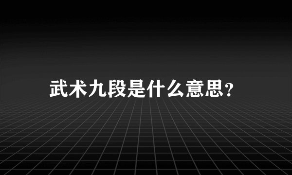 武术九段是什么意思？