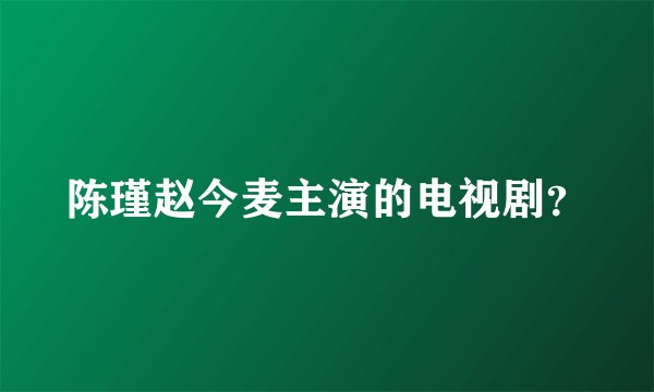 陈瑾赵今麦主演的电视剧?