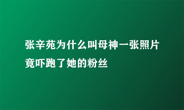 张辛苑为什么叫母神一张照片竟吓跑了她的粉丝