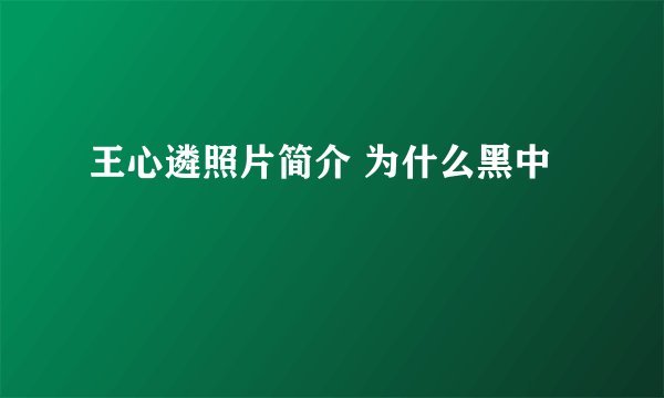 王心遴照片简介 为什么黑中