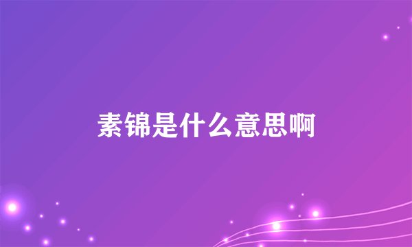 素锦是什么意思啊