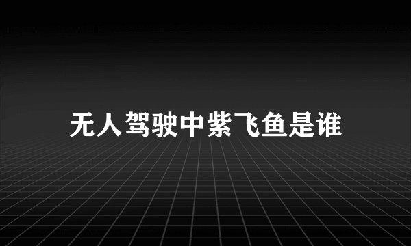 无人驾驶中紫飞鱼是谁