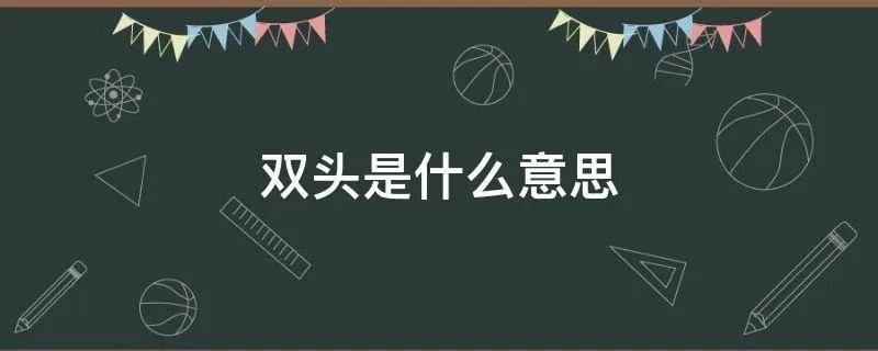 双头是什么意思