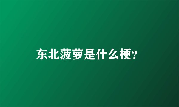 东北菠萝是什么梗？
