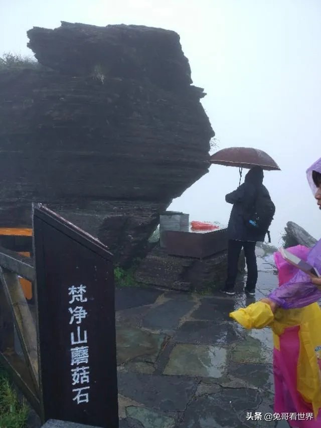 你去过的第一个A级景区是哪里?给你留下了什么深刻印象?