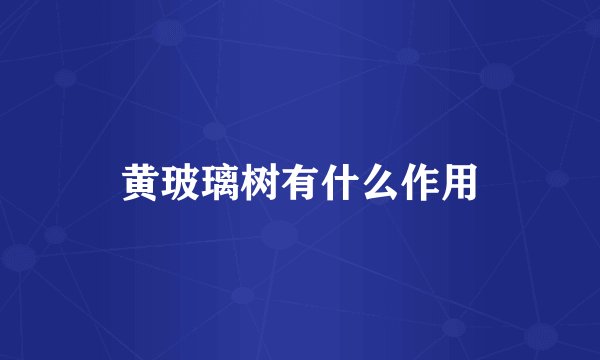 黄玻璃树有什么作用