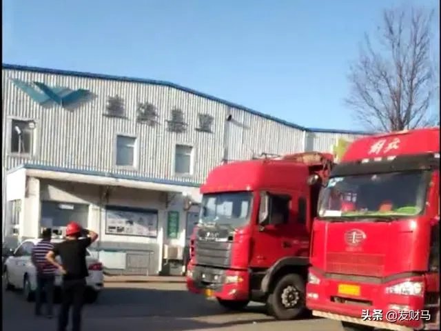 猪价不断探底回落，为什么饲料原料价格却持续高涨？