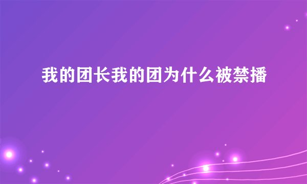 我的团长我的团为什么被禁播