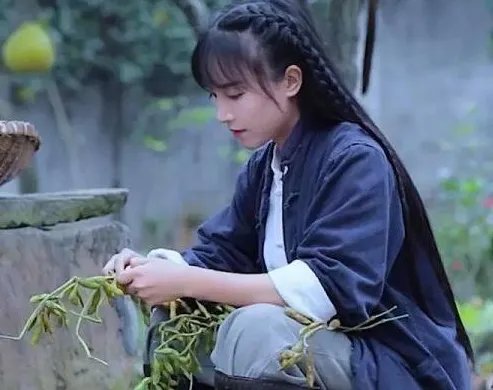 李子柒陷入资本困局,知情人透露现状很惨,事情的真相究竟是什么?