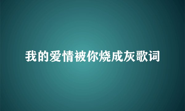 我的爱情被你烧成灰歌词