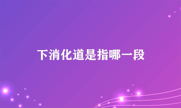 下消化道是指哪一段