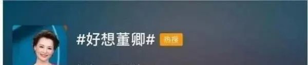 如何评价董卿的长相？