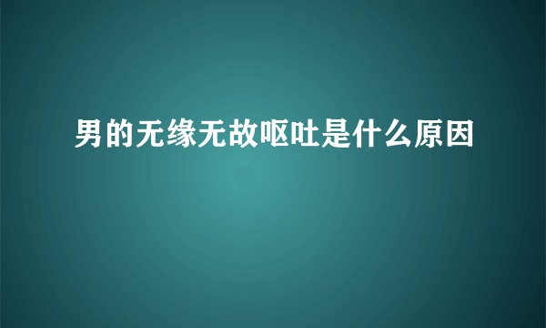 男的无缘无故呕吐是什么原因