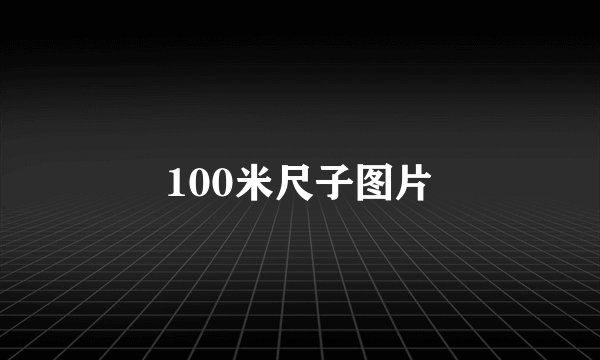 100米尺子图片