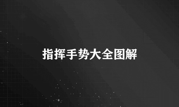 指挥手势大全图解
