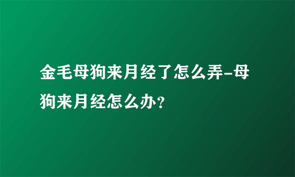 金毛母狗来月经了怎么弄-母狗来月经怎么办？
