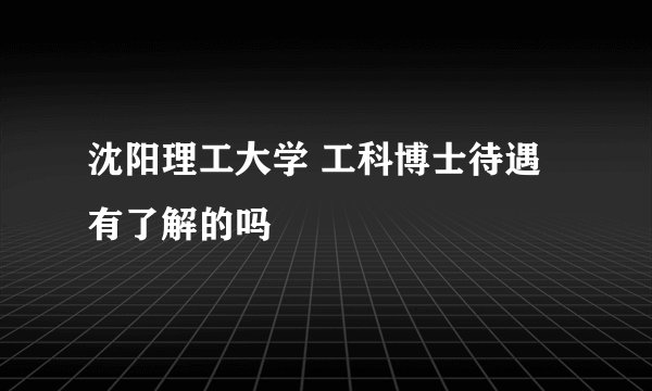 沈阳理工大学 工科博士待遇有了解的吗