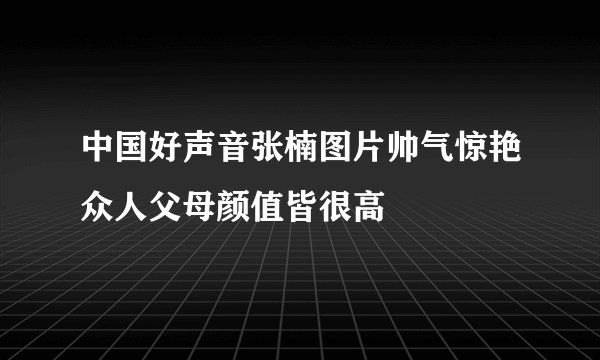 中国好声音张楠图片帅气惊艳众人父母颜值皆很高