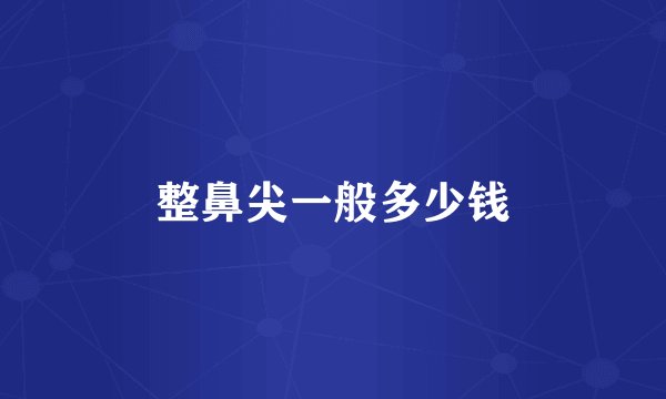整鼻尖一般多少钱