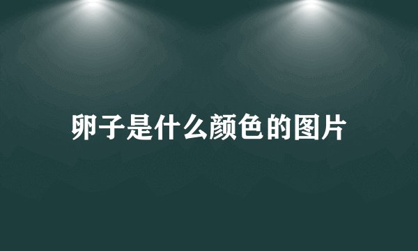 卵子是什么颜色的图片
