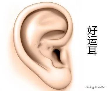有人说耳朵大,有福气,耳朵小注定没前途,是真的吗?