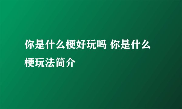 你是什么梗好玩吗 你是什么梗玩法简介