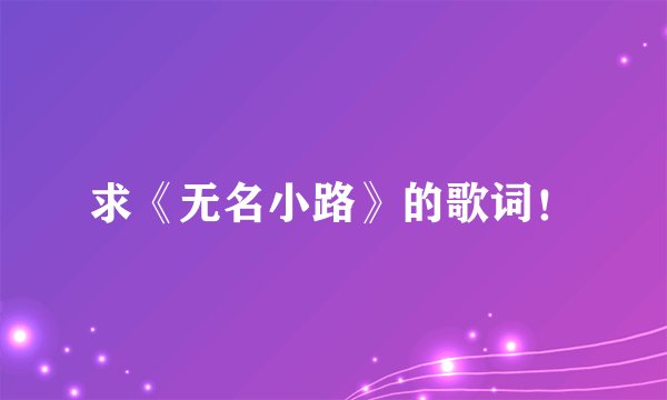 求《无名小路》的歌词!