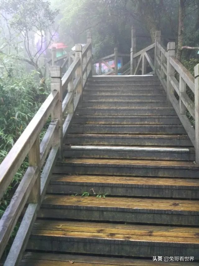 你去过的第一个A级景区是哪里?给你留下了什么深刻印象?