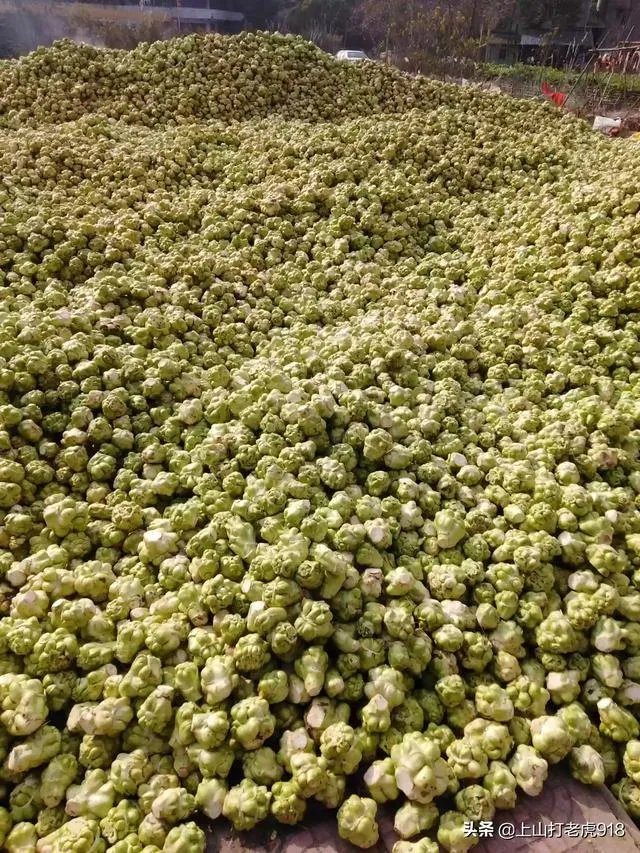 涪陵榨菜什么牌子的好？