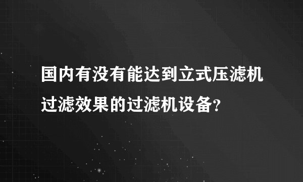 国内有没有能达到立式压滤机过滤效果的过滤机设备？