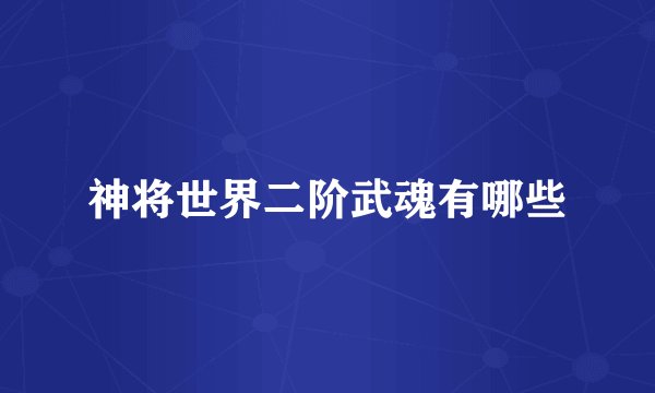 神将世界二阶武魂有哪些