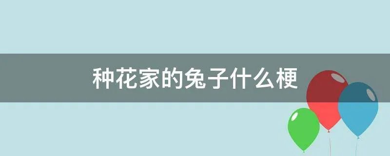 种花家的兔子什么梗